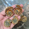 3 Pairs of Ammonite Fossil Pair | 35-50mm Sizes - The LabradoriteKing