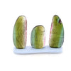 3 Pcs Green Tourmaline Watermelon Slice Pairs | 20.30 Cts Pair | 21x9mm - The LabradoriteKing