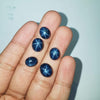 5 Pcs of Natural Sapphire Stars 8mm Oval - The LabradoriteKing