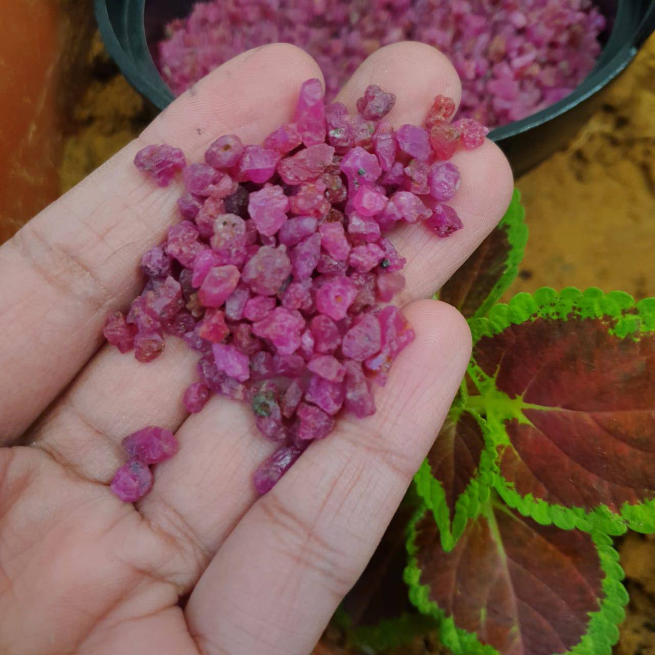 50 Pcs Natural Ruby Mogok Mined | 5-8mm Untreated Pinkish Red - The LabradoriteKing