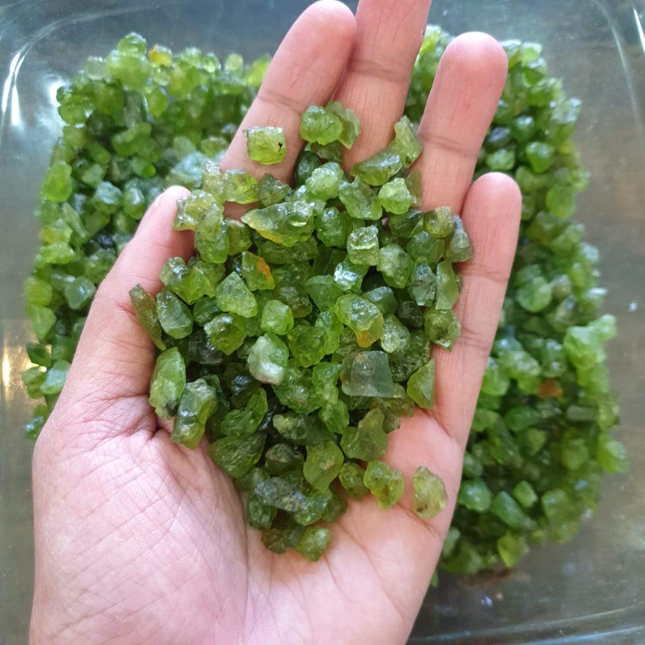 50pcs Natural Peridots Raw Rough | 8-15mm - The LabradoriteKing