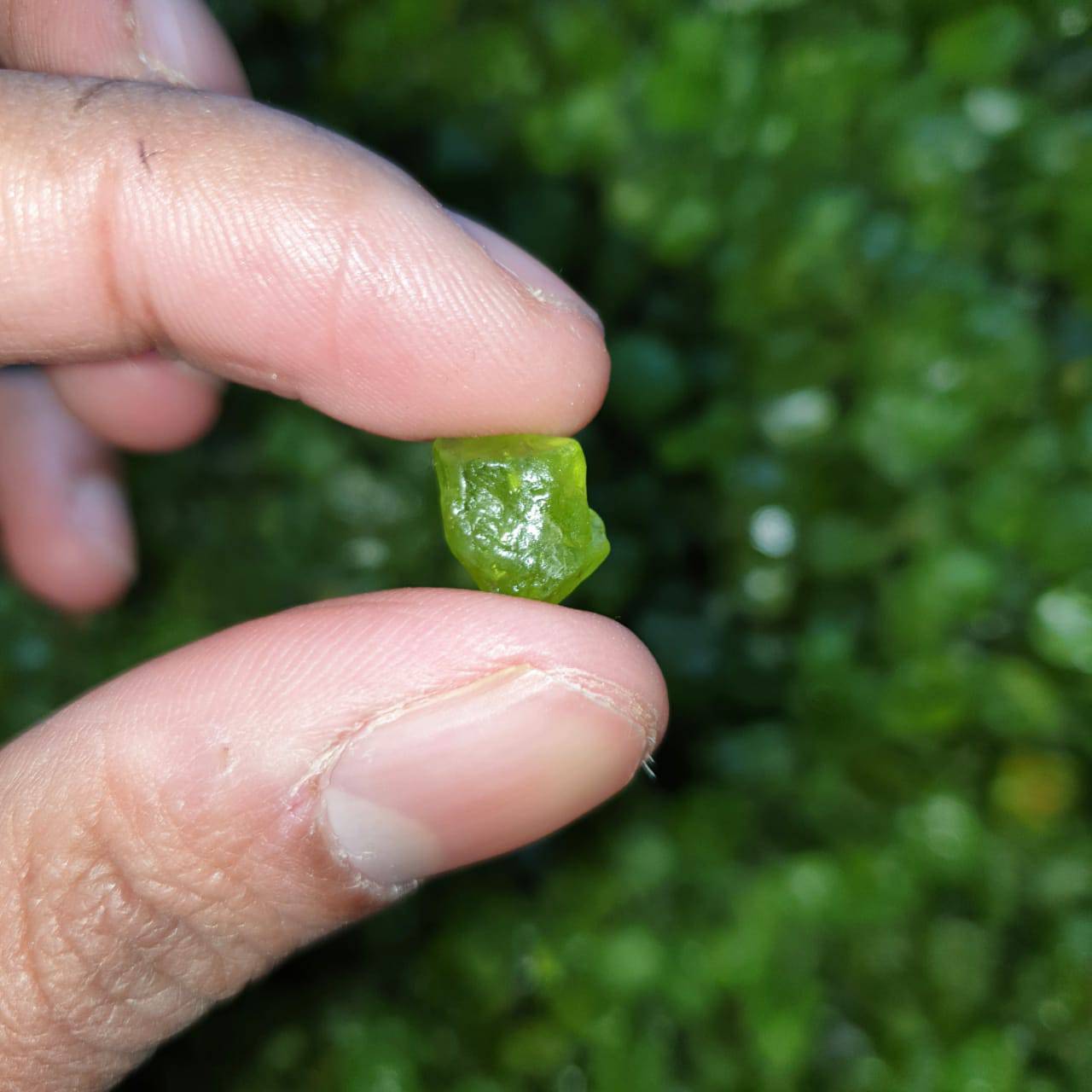 50pcs Natural Peridots Raw Rough | 8-15mm - The LabradoriteKing