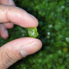 50pcs Natural Peridots Raw Rough | 8-15mm - The LabradoriteKing