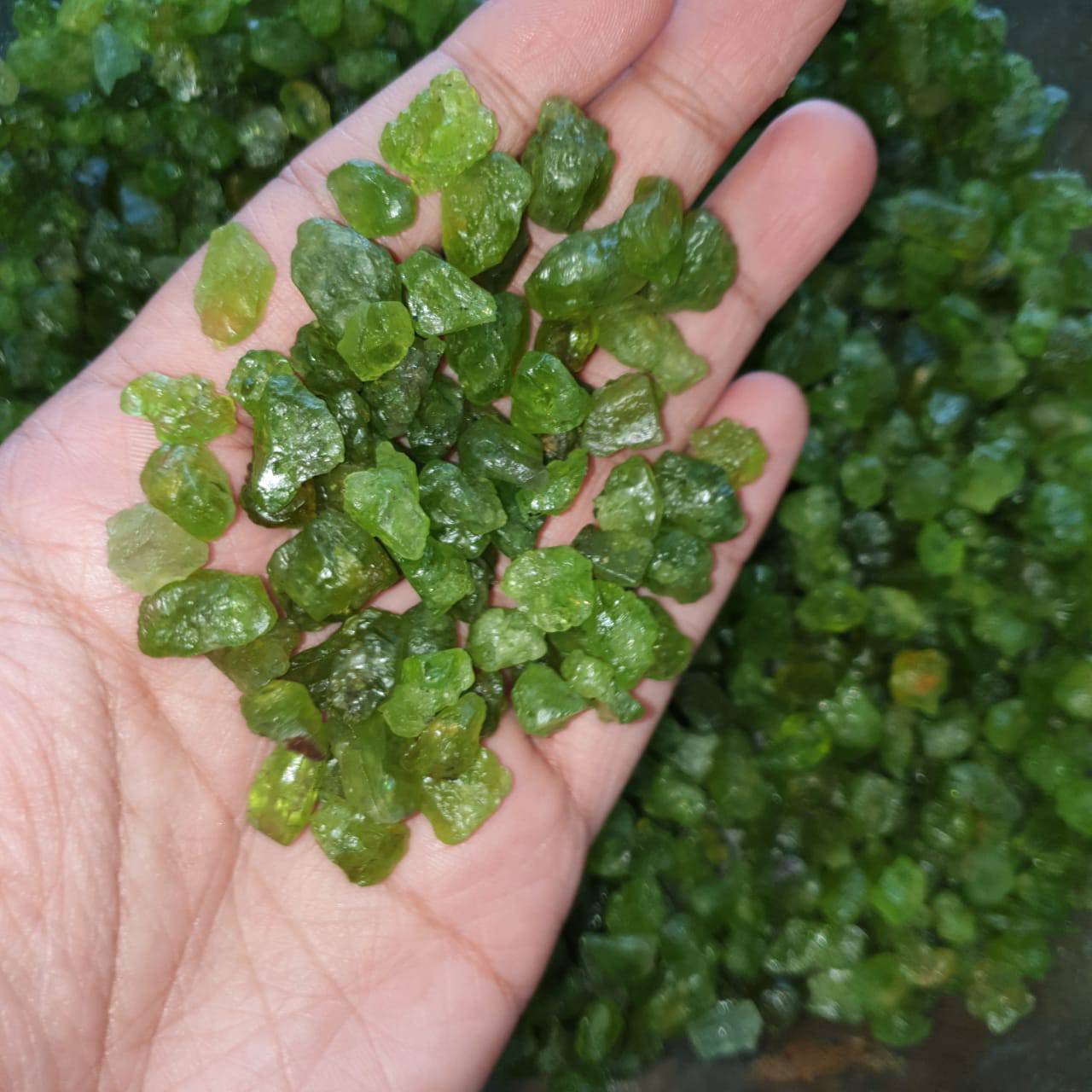 50pcs Natural Peridots Raw Rough | 8-15mm - The LabradoriteKing