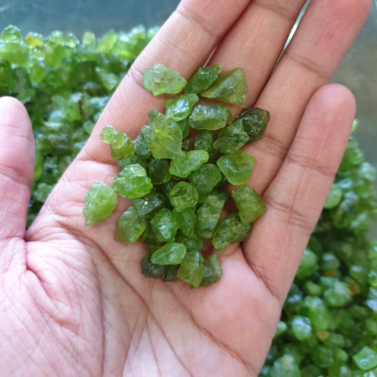 50pcs Natural Peridots Raw Rough | 8-15mm - The LabradoriteKing