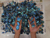 5pcs of Randomly selected Fine Blue Labradorites - The LabradoriteKing