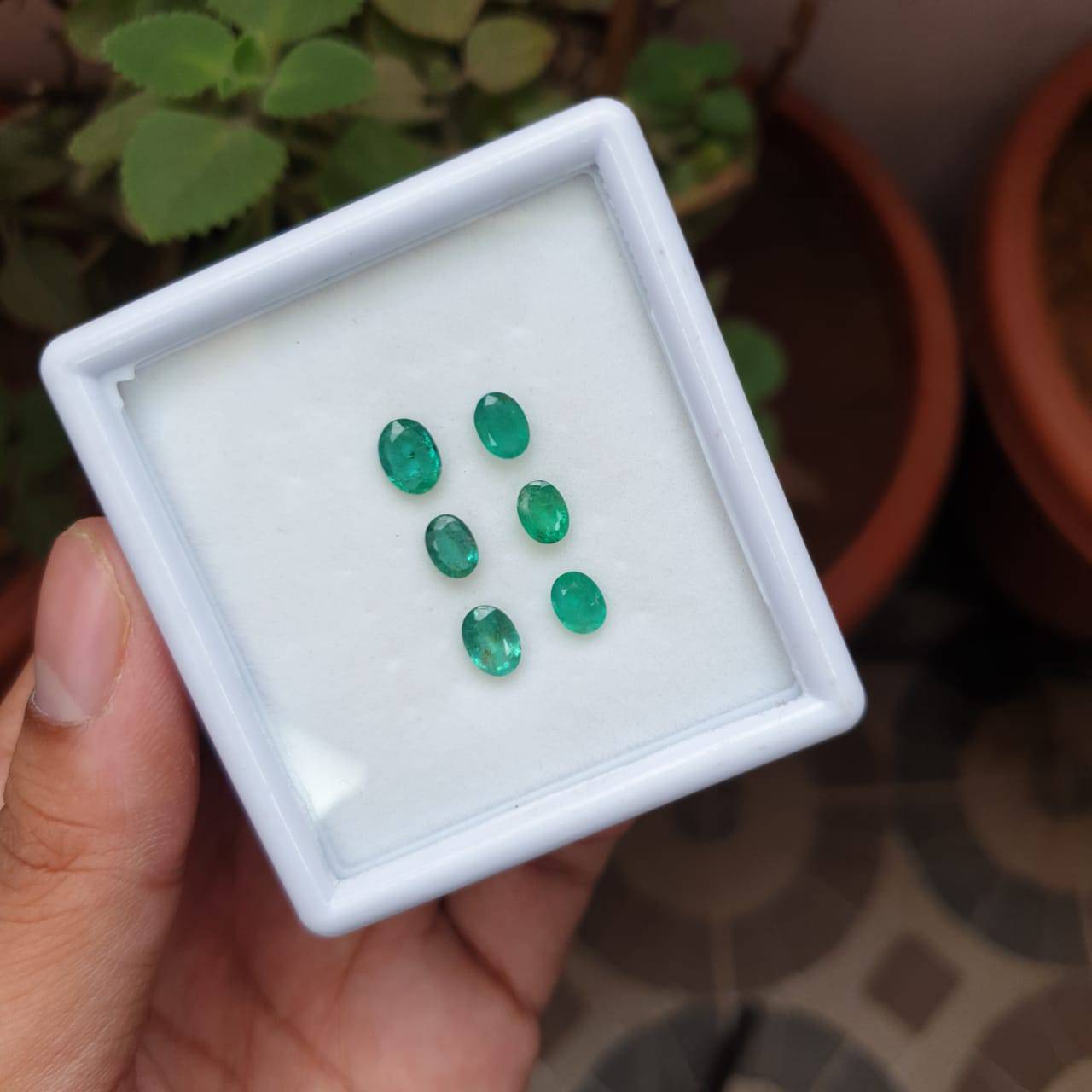 6 Pcs Natural Emerald Lot- Zambian Mined Emerald Cut 6-7mm| 4.3 Cts|Untreated Certified - The LabradoriteKing