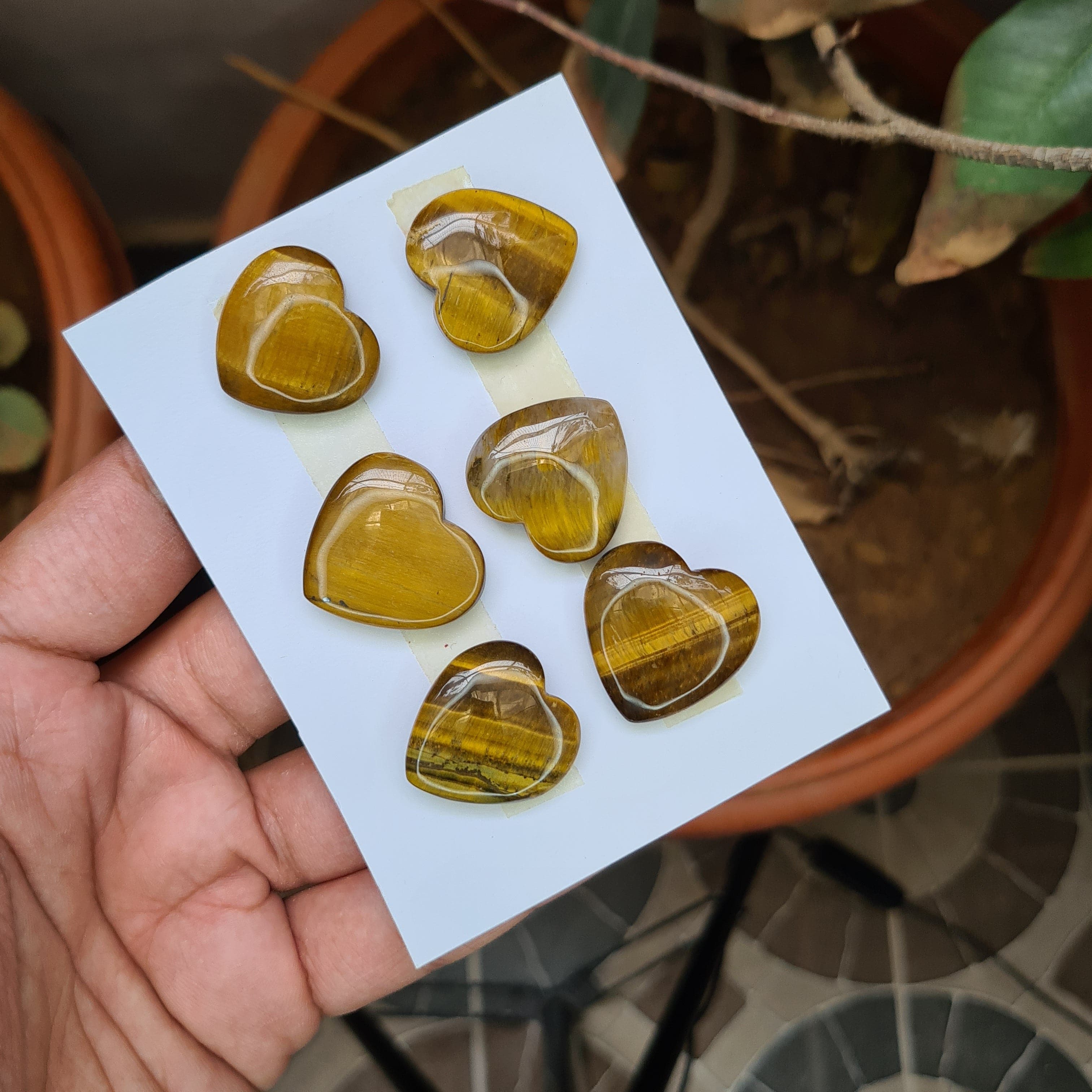 6 Pcs Natural Tiger Eye Cabochon Gemstones | Heart Shape, 24-27mm Size, - The LabradoriteKing