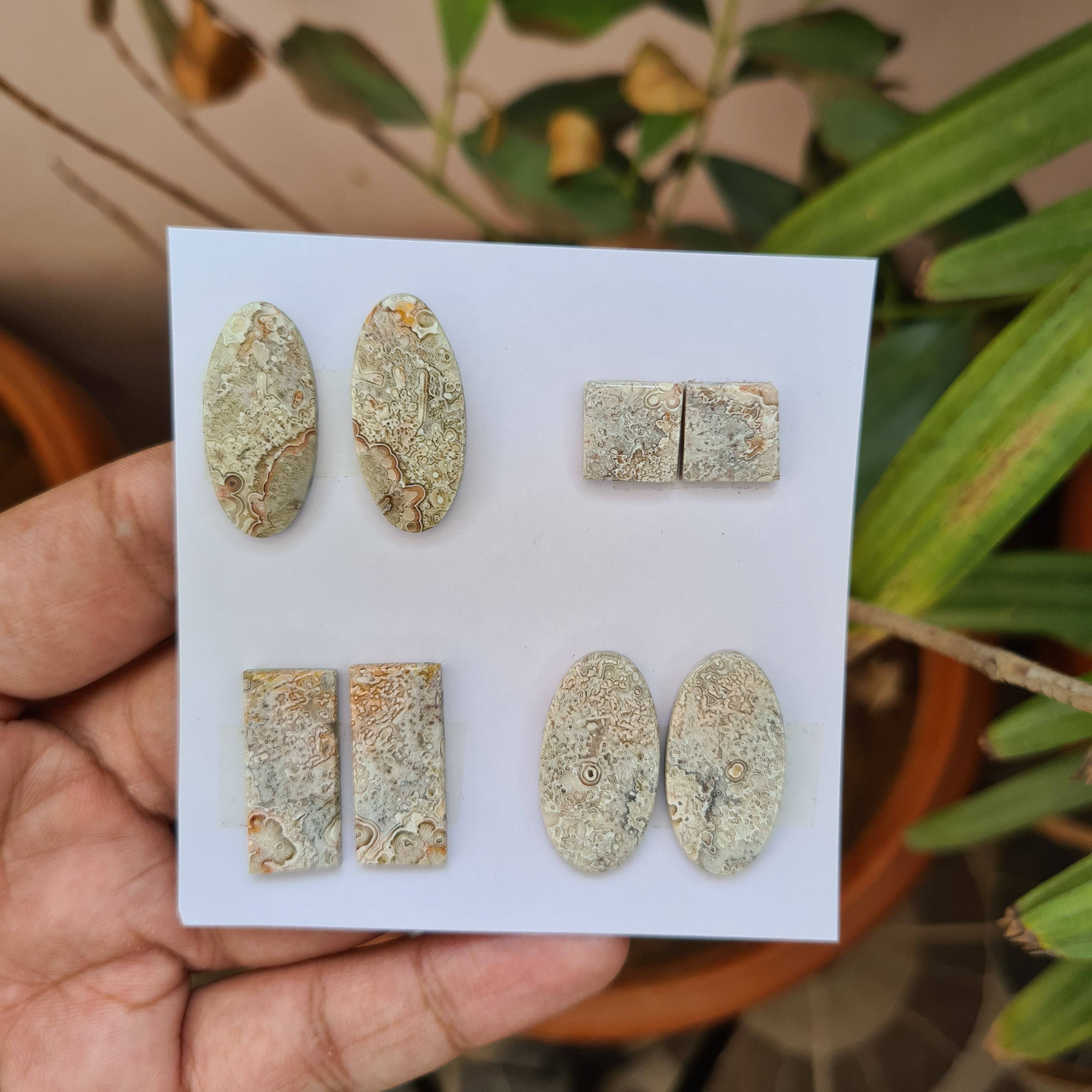 8 Pcs Pair Natural Jasper Cabochon Gemstones | Mix Shape, 11-27mm Size, - The LabradoriteKing