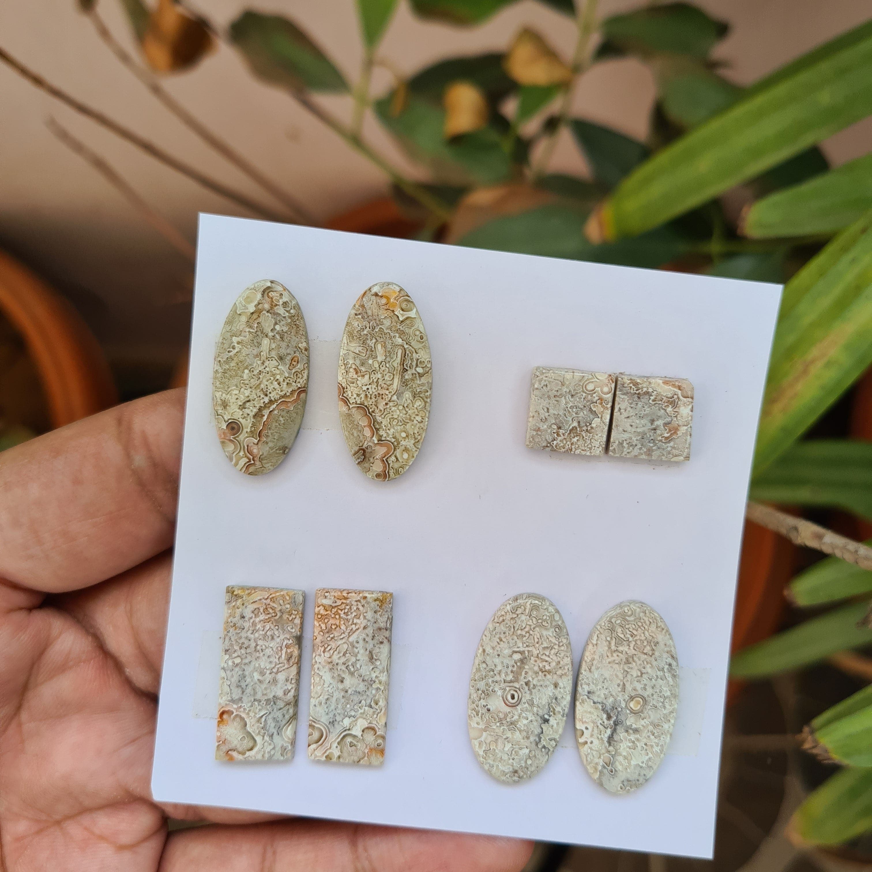 8 Pcs Pair Natural Jasper Cabochon Gemstones | Mix Shape, 11-27mm Size, - The LabradoriteKing