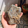 Load image into Gallery viewer, 965 GM Bigger Size Opal Rough Minerals Untreated Australian mined | 105x80x80mm - The LabradoriteKing