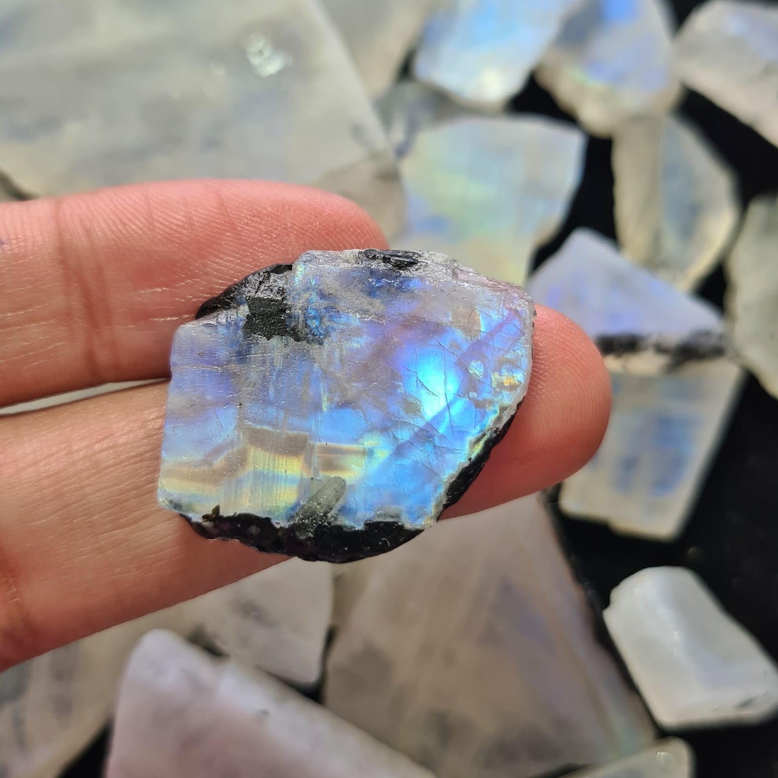 5 Pcs of Rainbow Moonstone Chunks | Untreated and Cab Quality Chunks - The LabradoriteKing