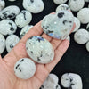 5 Pcs Rainbow Moonstone Crystal - The LabradoriteKing