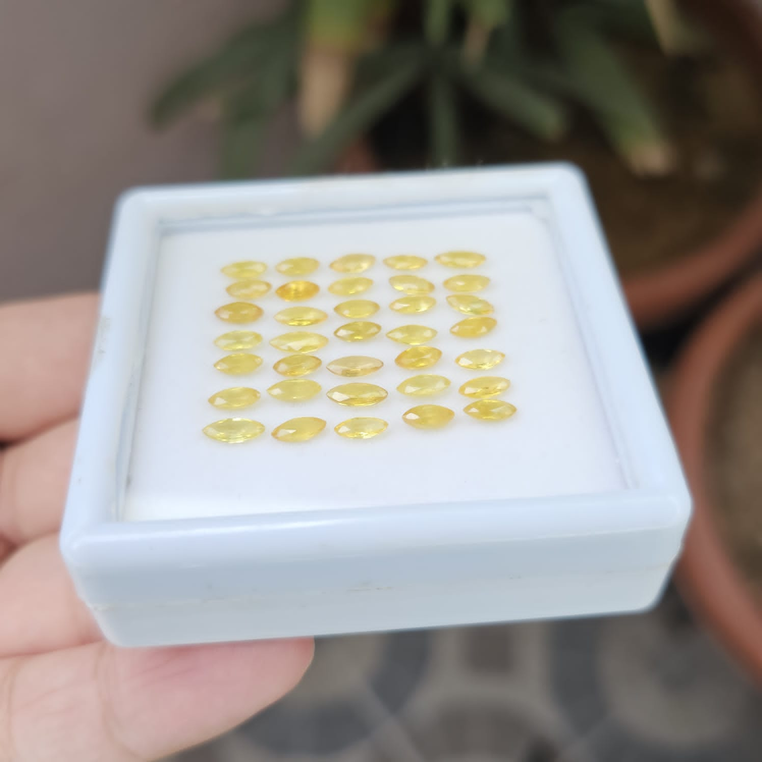 35 pcs Natural Yellow Sapphire Faceted Marquise Shape Gemstone 6x3mm Size, - The LabradoriteKing