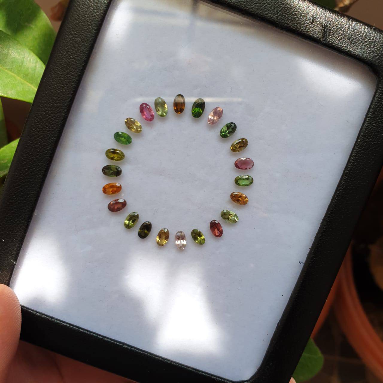 Dial Set of Natural Tourmaline Lot 23pcs | 6 Cts | 5x3mm - The LabradoriteKing