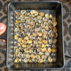 Gold Rutile Quartz Pears Cabochons | Calibrated sizes - The LabradoriteKing