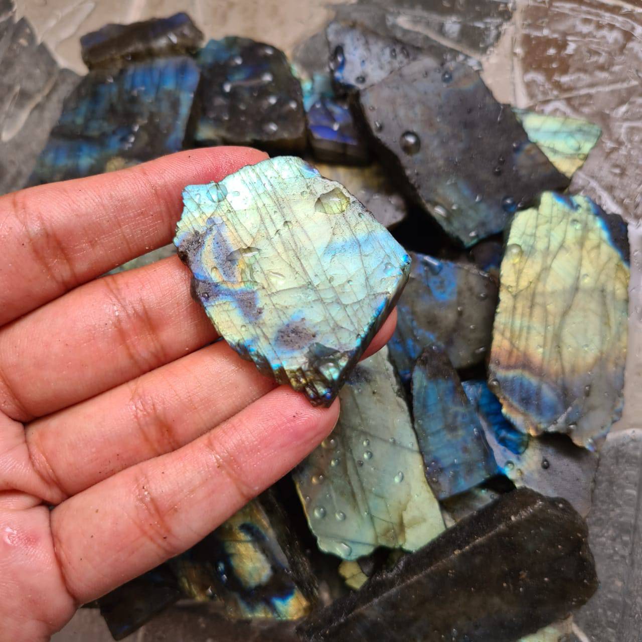 Labradorite raw Slabs | Flashy High quality slabs 2-5"Inches - The LabradoriteKing