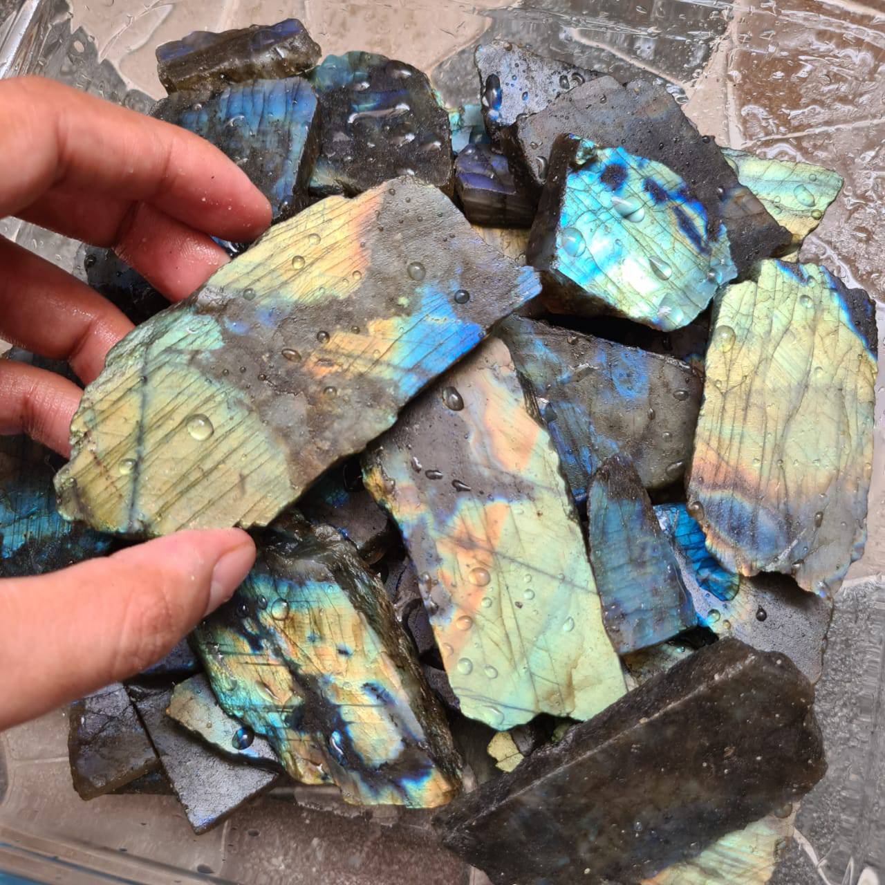 Labradorite raw Slabs | Flashy High quality slabs 2-5"Inches - The LabradoriteKing