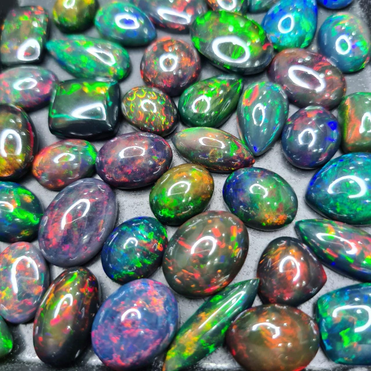 Natural Black Opals Cabochons | 15mm-18mm 🔥 Offer - The LabradoriteKing