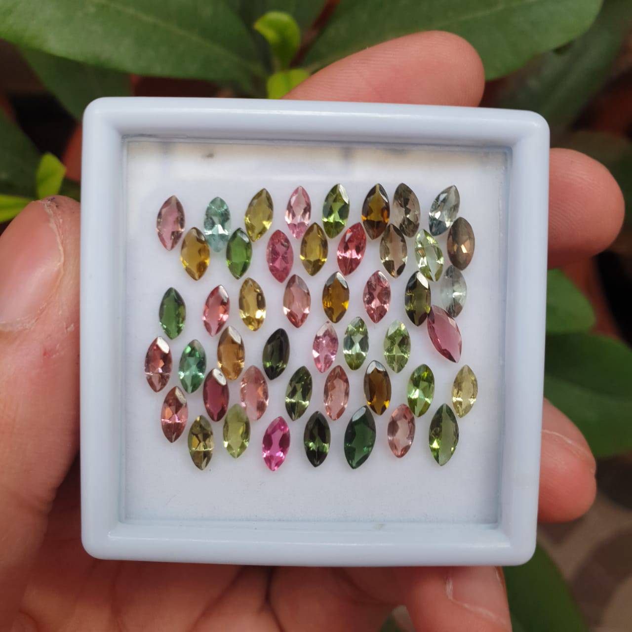 Natural Tourmaline Marquise Lot 4mm Size 47 Pcs - The LabradoriteKing