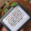 Natural Tourmalines 77 Pcs / 27 Cts Lot 5mm Ovals/Round/ Teardrop Pakistan Mined - The LabradoriteKing