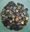 Random Pick of Labradorites just out of Polishing Process - The LabradoriteKing