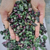 Load image into Gallery viewer, Ruby In zoisite Raw roughs | Natural Untreated Natural Ruby - The LabradoriteKing