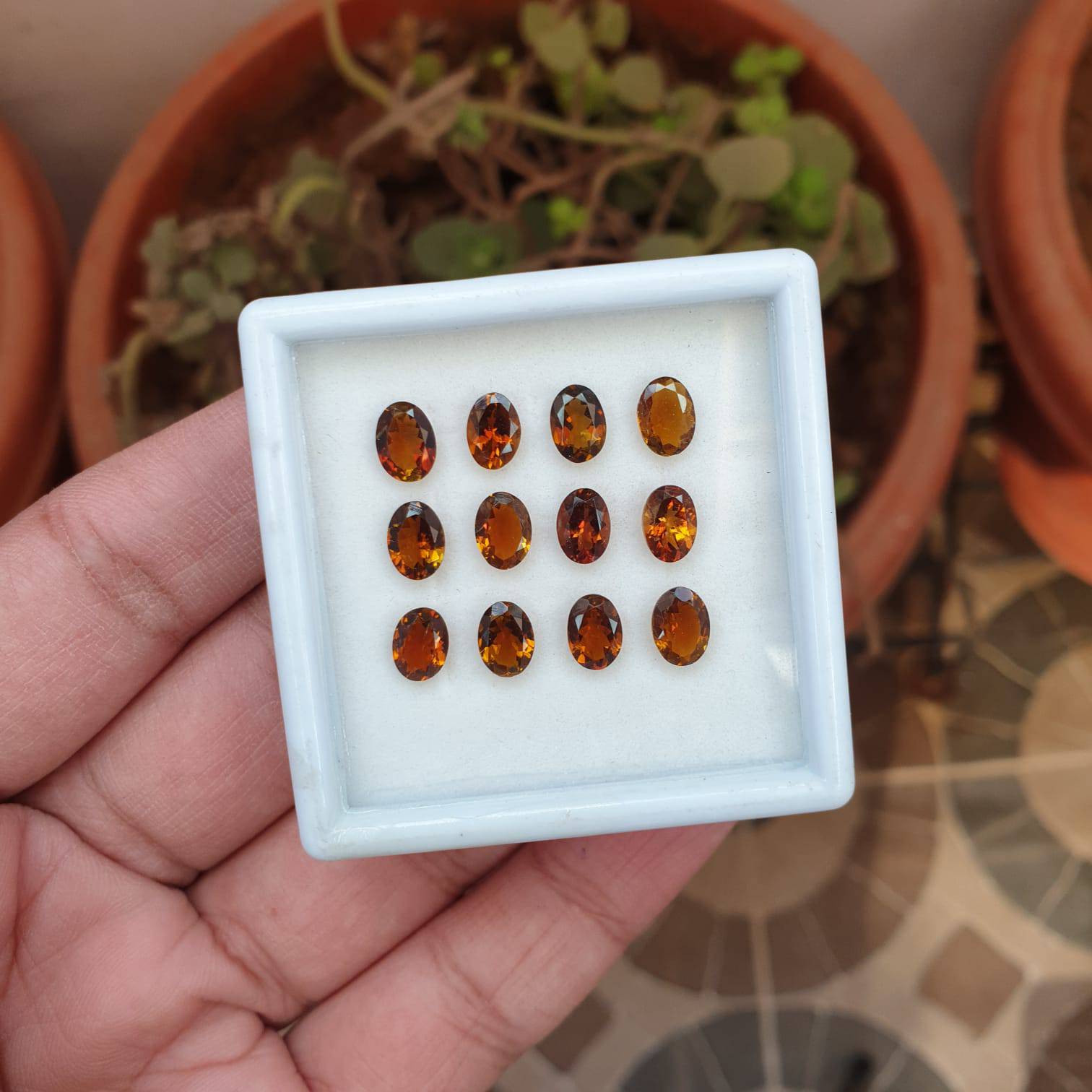 SALE🔥 12 Pcs Natural Brown Tourmaline Feceted Gemstones | Oval Shape, Sizes: 7x5mm - The LabradoriteKing