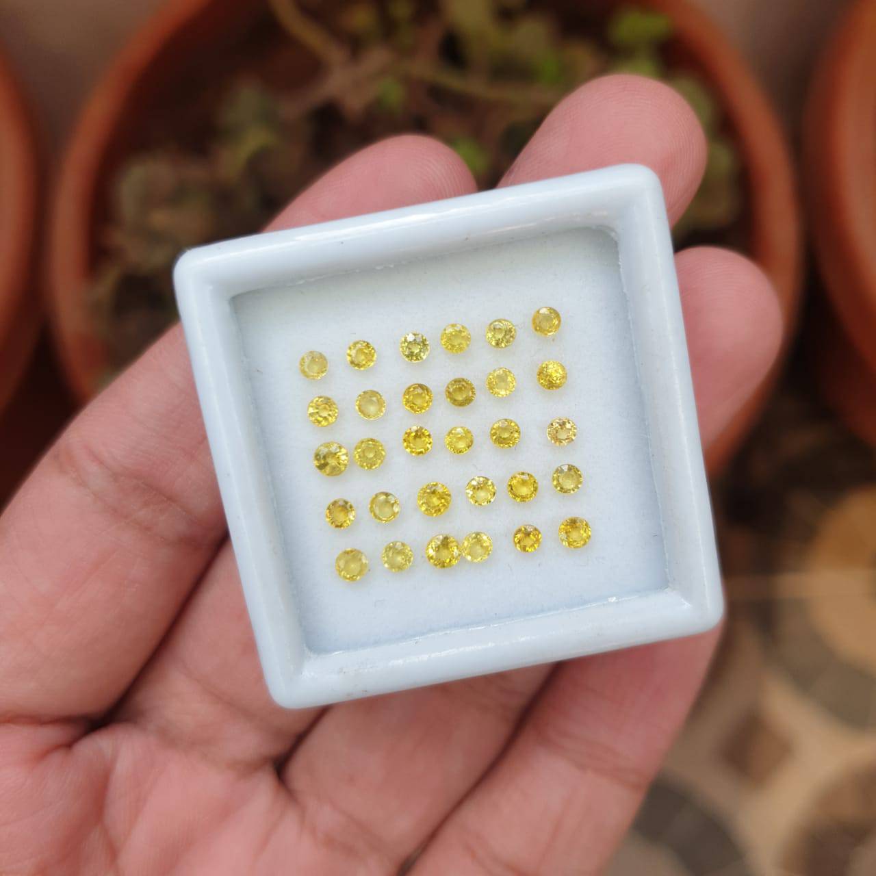 SALE 🔥 30 Pcs Natural Yellow Sapphire Faceted Gemstones | Round Shape, Size: 2-3mm - The LabradoriteKing