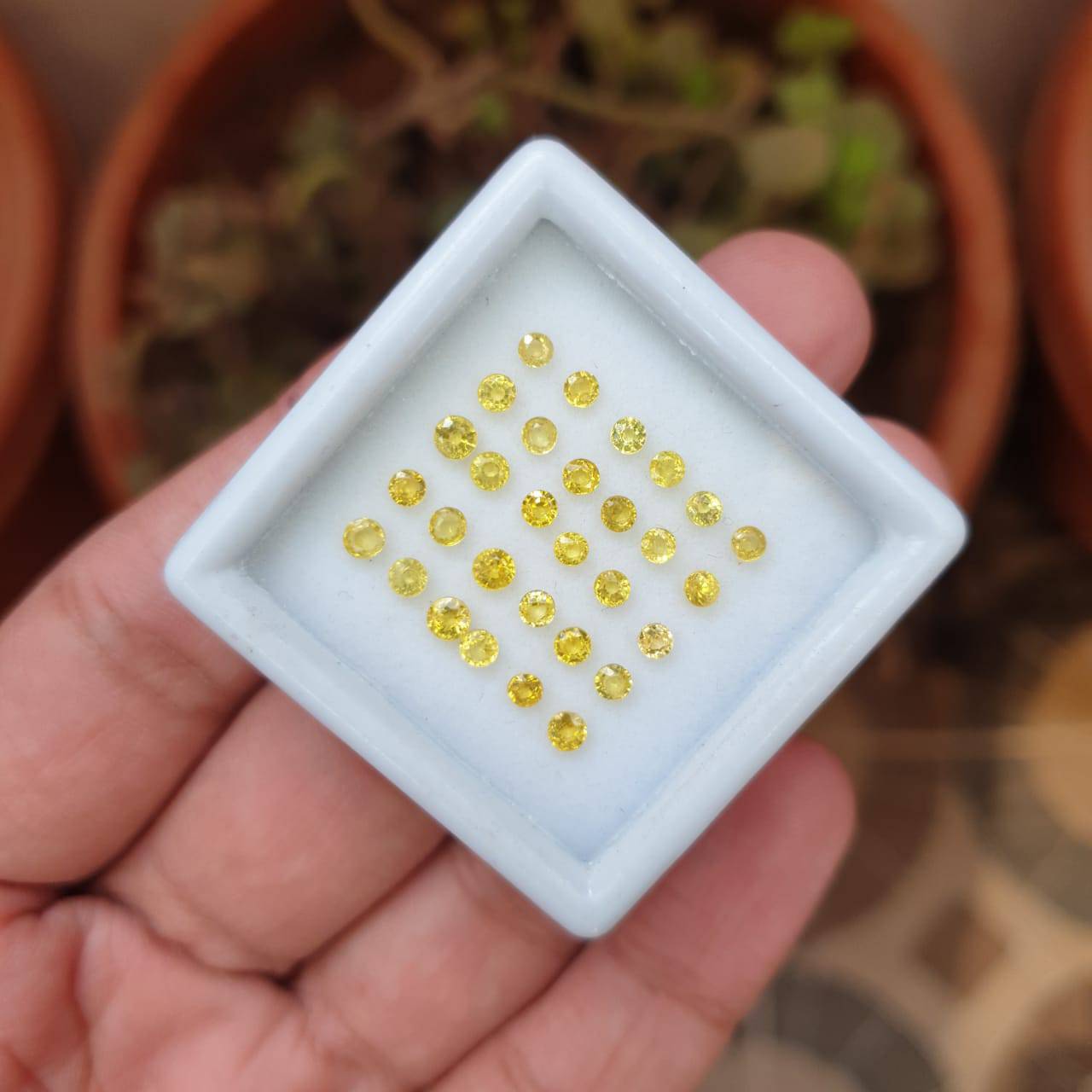 SALE 🔥 30 Pcs Natural Yellow Sapphire Faceted Gemstones | Round Shape, Size: 2-3mm - The LabradoriteKing