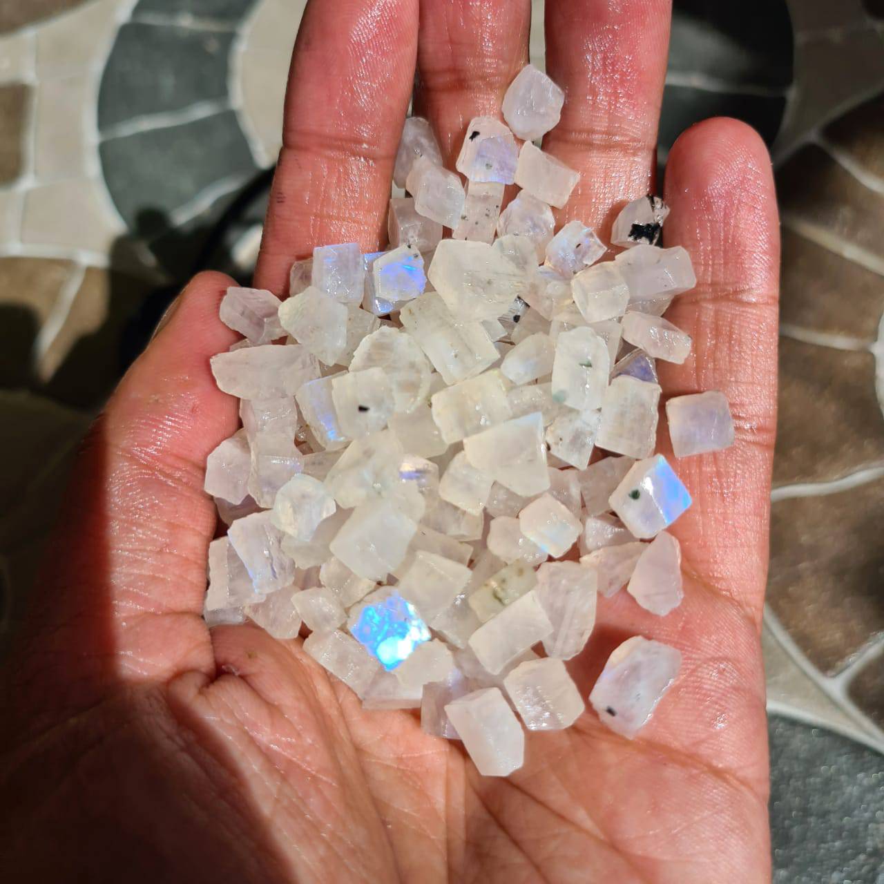 SALE! 30 Pcs of Rainbow Moonstones Cubes | High quality Blue Fire - The LabradoriteKing