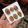 SALE🔥  6 Pcs Natural Rutile Quartz Cobochon Gemstones | Mix Shape, Sizes: 20-32mm - The LabradoriteKing
