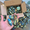 Load image into Gallery viewer, Wholesale🔥 Labradorite Cabochons Slabs | Flashy High quality slabs 1-4&quot;Inches - The LabradoriteKing