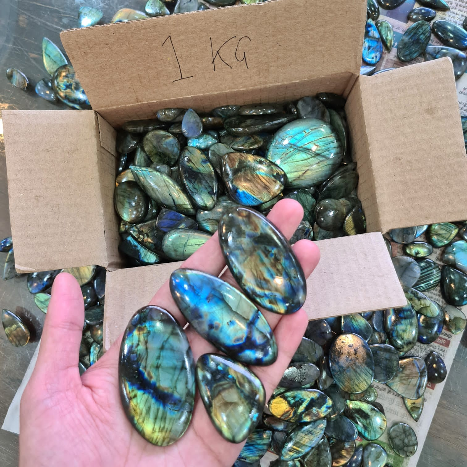 Wholesale🔥 Labradorite Cabochons Slabs | Flashy High quality slabs 1-4"Inches - The LabradoriteKing